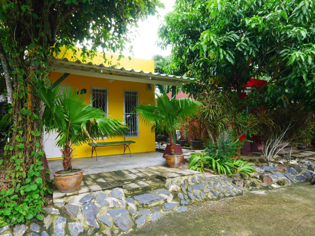 Forest Bungalows & Mama'S Restaurant Chalong Extérieur photo