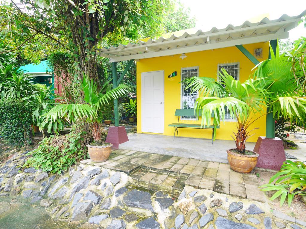 Forest Bungalows & Mama'S Restaurant Chalong Extérieur photo